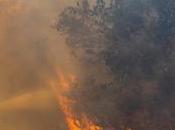 "Los Efectos Nocivos Incendios Australia"