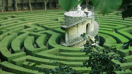 COMO BENGALA EN UN LABERINTO COMO BENGALA EN UN LABERINTO