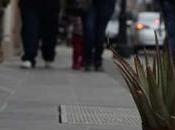 Abandono calles Centro Histórico; ponen maceta hoyo