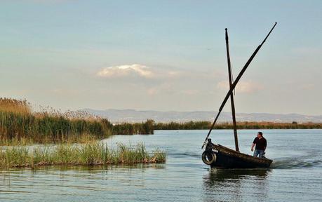 Resultado de imagen de albufera valencia