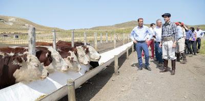 Gutiérrez anunció una tarjeta del BPN para el sector agropecuario