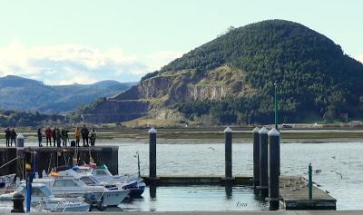 SOMORMUJO CUELLIRROJO EN COLINDRES