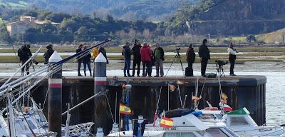 SOMORMUJO CUELLIRROJO EN COLINDRES
