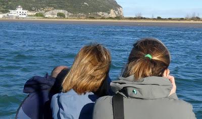 SOMORMUJO CUELLIRROJO EN COLINDRES