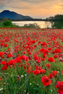 4.082 - POR EL CAMINO...