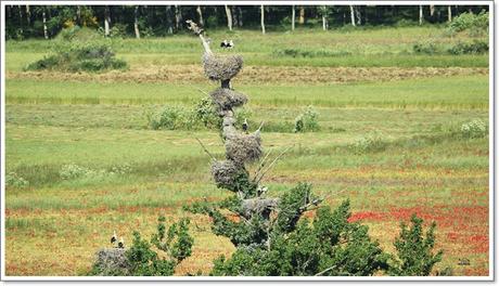 Esculpida la cacería de un oso