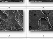 orden productos, ¿altera función?