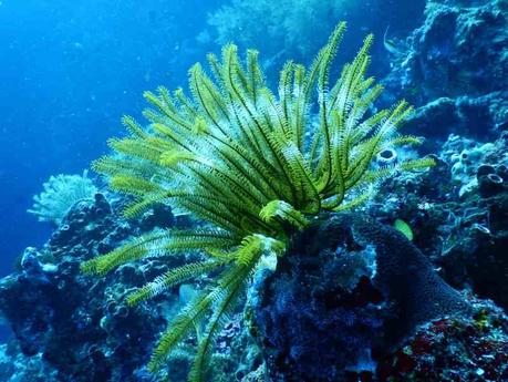 biotopo y biocenosis