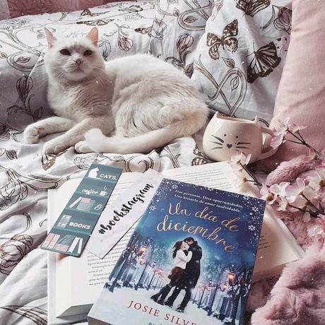 'Un día de diciembre', de Josie Silver