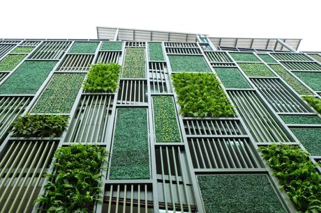 Sistemas de paredes vegetales naturales