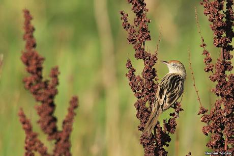 Primera salida del año (bis)