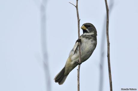 Primera salida del año (bis)