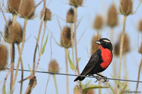Primera salida del año (bis)