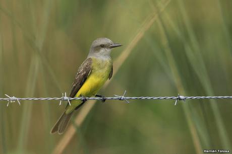 Primera salida del año (bis)