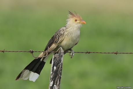 Primera salida del año (bis)