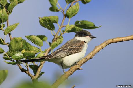 Primera salida del año (bis)