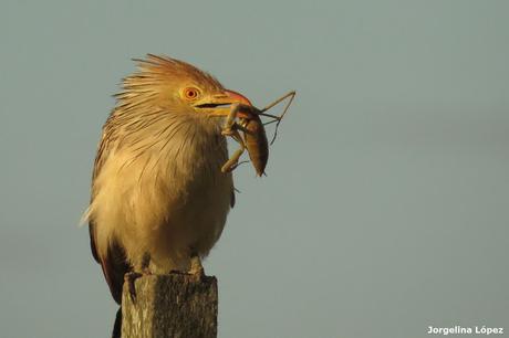 Primera salida del año (bis)