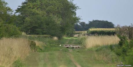 Primera salida del año (bis)