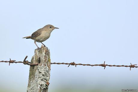 Primera salida del año (bis)