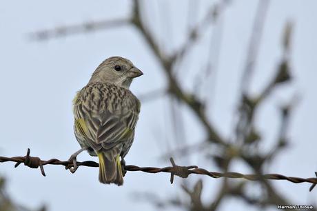 Primera salida del año (bis)