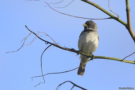 Primera salida del año (bis)