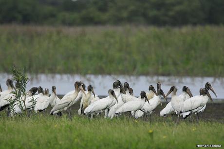 Primera salida del año (bis)
