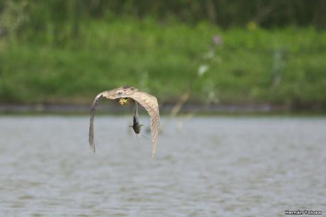 Primera salida del año (bis)