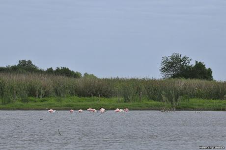 Primera salida del año (bis)