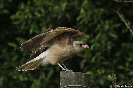 Primera salida del año (bis)