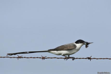 Primera salida del año (bis)