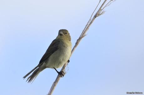 Primera salida del año (bis)