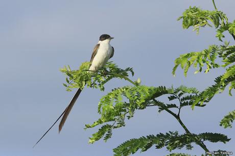 Primera salida del año (bis)