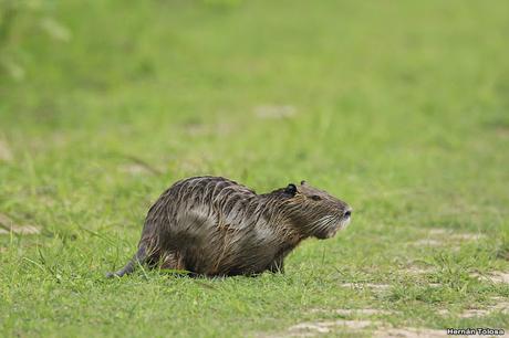 Primera salida del año (bis)