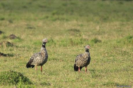 Primera salida del año (bis)