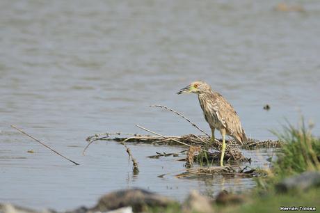 Primera salida del año (bis)