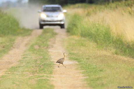 Primera salida del año (bis)