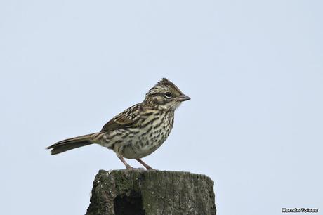 Primera salida del año (bis)