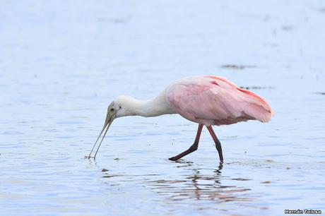 Primera salida del año (bis)