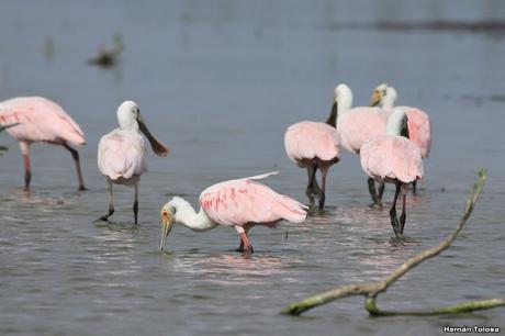Primera salida del año (bis)