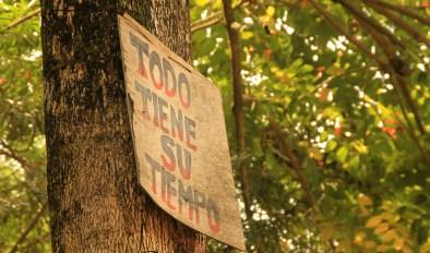 Ruta por la selva de Bolivia. De La Paz a Santa Cruz de la Sierra