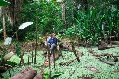 Ruta por la selva de Bolivia. De La Paz a Santa Cruz de la Sierra