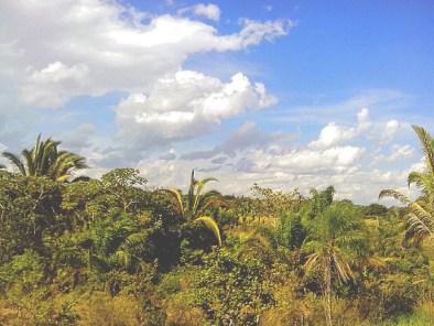 ruta por la selva de Bolivia