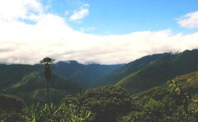 Ruta por la selva de Bolivia. De La Paz a Santa Cruz de la Sierra