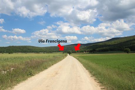 En mayo, en Toscana, los campos se llenan de amapolas.