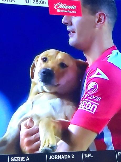 Tunita es el nuevo refuerzo del Atlético San Luis Tunita es el nuevo refuerzo del Atlético San Luis