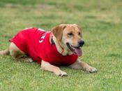 Tunita nuevo refuerzo Atlético Luis