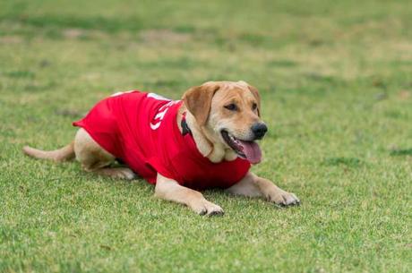 Tunita es el nuevo refuerzo del Atlético San Luis