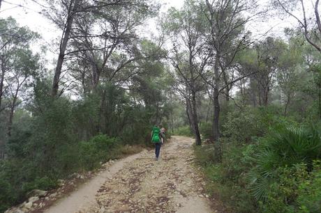 Ruinas del Mas dels Arcs | Tarragona