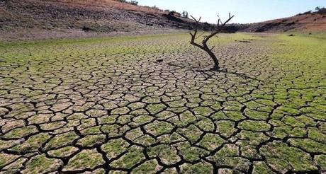 San Luis Potosí sólo tiene 75 días de agua según la CEA