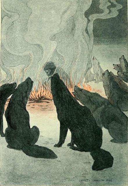 COLMILLO BLANCO: ¡Un clásico imperecedero!